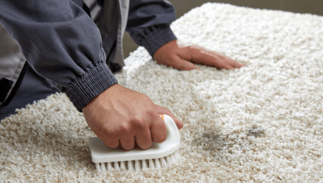 Professional Rug Cleaning Eltham