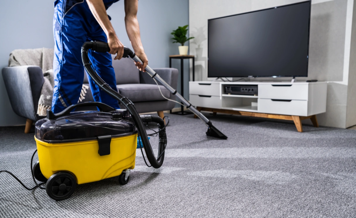 Extract Rug Cleaning Eltham Contact Office